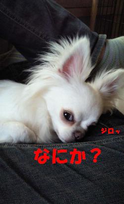 縺。繧上o+179_convert_20120626100421
