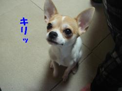 螟ァ蜥・豁ウ_convert_20120626100754