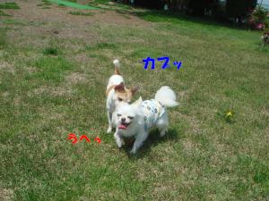 蟆城未+110_convert_20120626131115