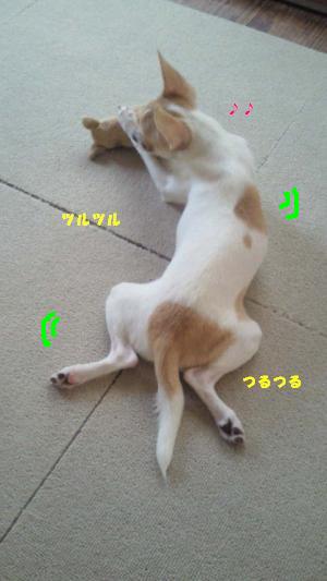 縺。繧上o+889_convert_20120629115724