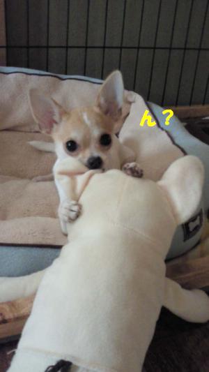 縺。繧上o2+004_convert_20120629115515