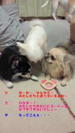 縺。繧上o928_convert_20120629115310