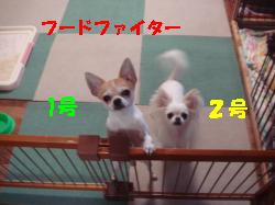 逕サ蜒・158_convert_20120701123135