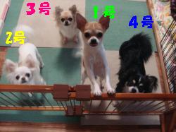 逕サ蜒・159_convert_20120701123318