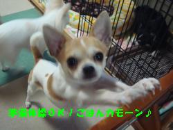 逕サ蜒・162_convert_20120701123501