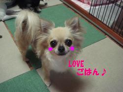 逕サ蜒・171_convert_20120701124112