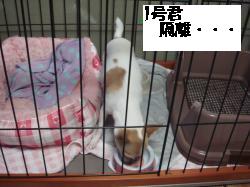 逕サ蜒・166_convert_20120701123644