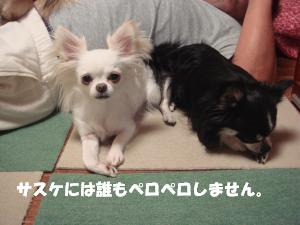 蟆城未+173_convert_20120702110001