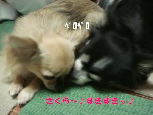 蟆城未+179_convert_20120702105833