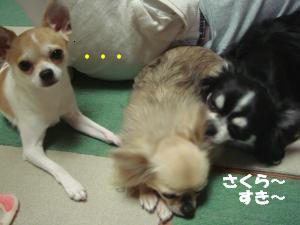 蟆城未+180_convert_20120702105918