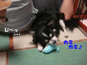 蟆城未+162_convert_20120702155818