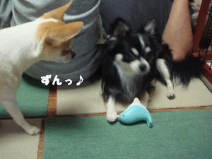 蟆城未+164_convert_20120702155919