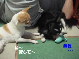 蟆城未+166_convert_20120702160031