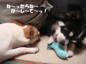 蟆城未+169_convert_20120702160131