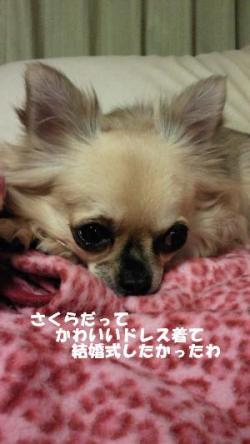 邵コ・。郢ァ荳奇ス・791_convert_20120703114653_convert_20120703115242