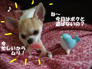 蟆城未+216_convert_20120704111118