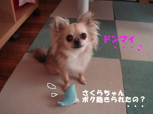 蟆城未+205_convert_20120704130450