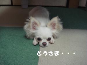 蟆城未+221_convert_20120705114202