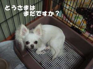 蟆城未+219_convert_20120705114620
