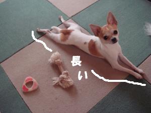 蟆城未+226_convert_20120706103035