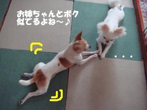 蟆城未+224_convert_20120706103214