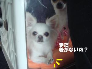 蟆城未+237_convert_20120709110836