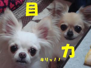 蟆城未+250_convert_20120709111319