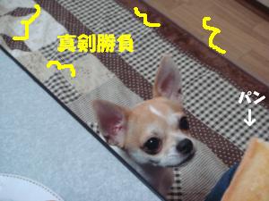 蟆城未+252_convert_20120709111407