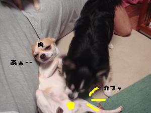 蟆城未+308_convert_20120710094402