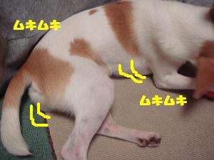 蟆城未+292_convert_20120710094300