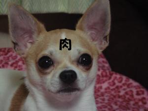 蟆城未+288_convert_20120709163747