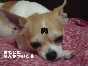 蟆城未+283_convert_20120709164034