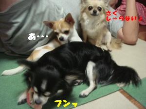 蟆城未+303_convert_20120710104714