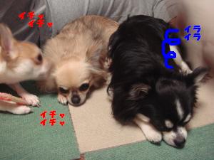 蟆城未+301_convert_20120710104639