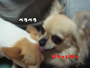 蟆城未+298_convert_20120710104746