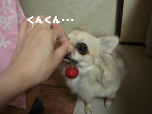 蟆城未+204_convert_20120703104356