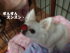 蟆城未+203_convert_20120703104305