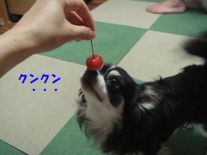 蟆城未+202_convert_20120703104151