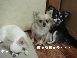 蟆城未+298_convert_20120712112111