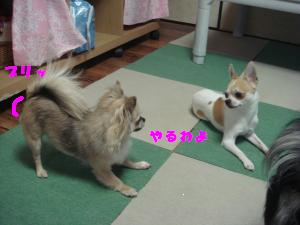 蟆城未+218_convert_20120710134147
