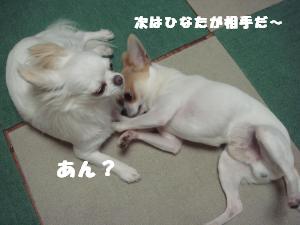 蟆城未+325_convert_20120713092431