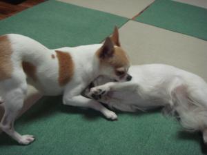 蟆城未+307_convert_20120713091650