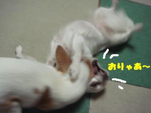 蟆城未+315_convert_20120713091929