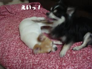 蟆城未+324_convert_20120713092738
