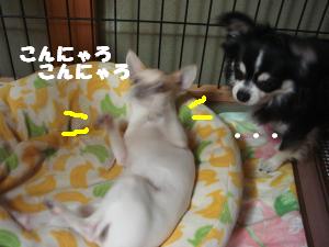 蟆城未+339_convert_20120713091836