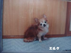 蟆城未+316_convert_20120713092010