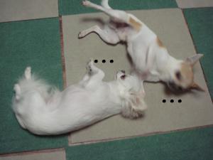 蟆城未+322_convert_20120713091327