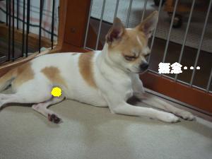 蟆城未+314_convert_20120713091356