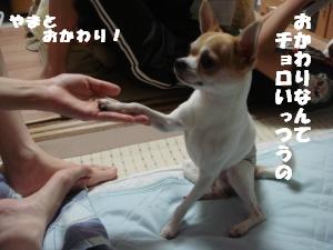 蟆城未+378_convert_20120717102950