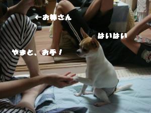 蟆城未+377_convert_20120717102909